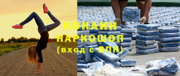 ешки Инсар