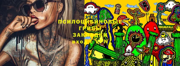 ешки Инсар
